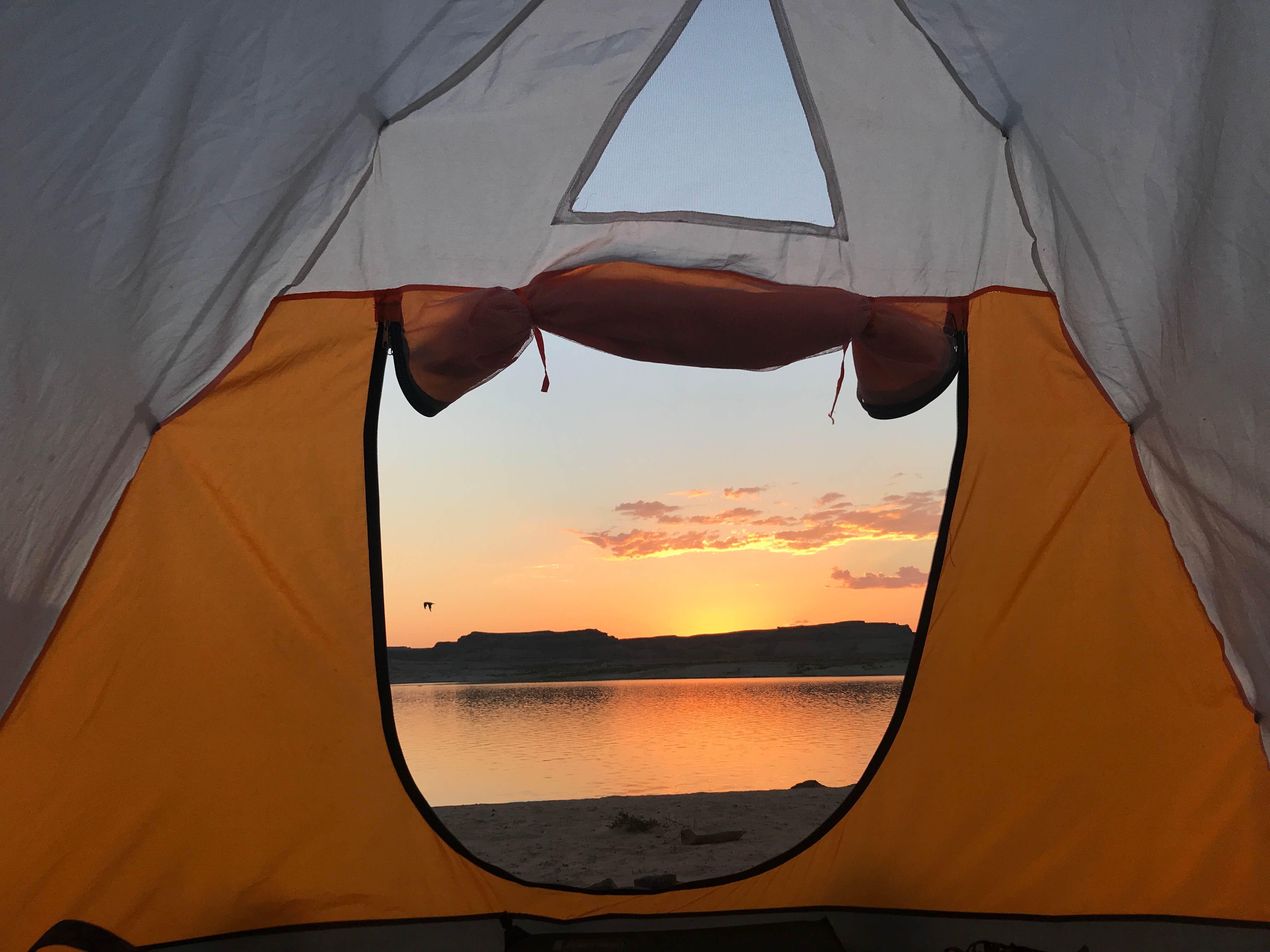 Jessica R.'s photo at Lone Rock Beach Primitive Camping Area — Glen Canyon National Recreation Area near Page, AZ