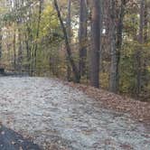 Review photo of Big Hart Campground by David D., November 27, 2021