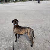 Review photo of Edisto Beach State Park Campground by Jeremy D., November 27, 2021