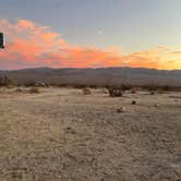 Review photo of Joshua Tree South - BLM Dispersed by Nick A., November 27, 2021