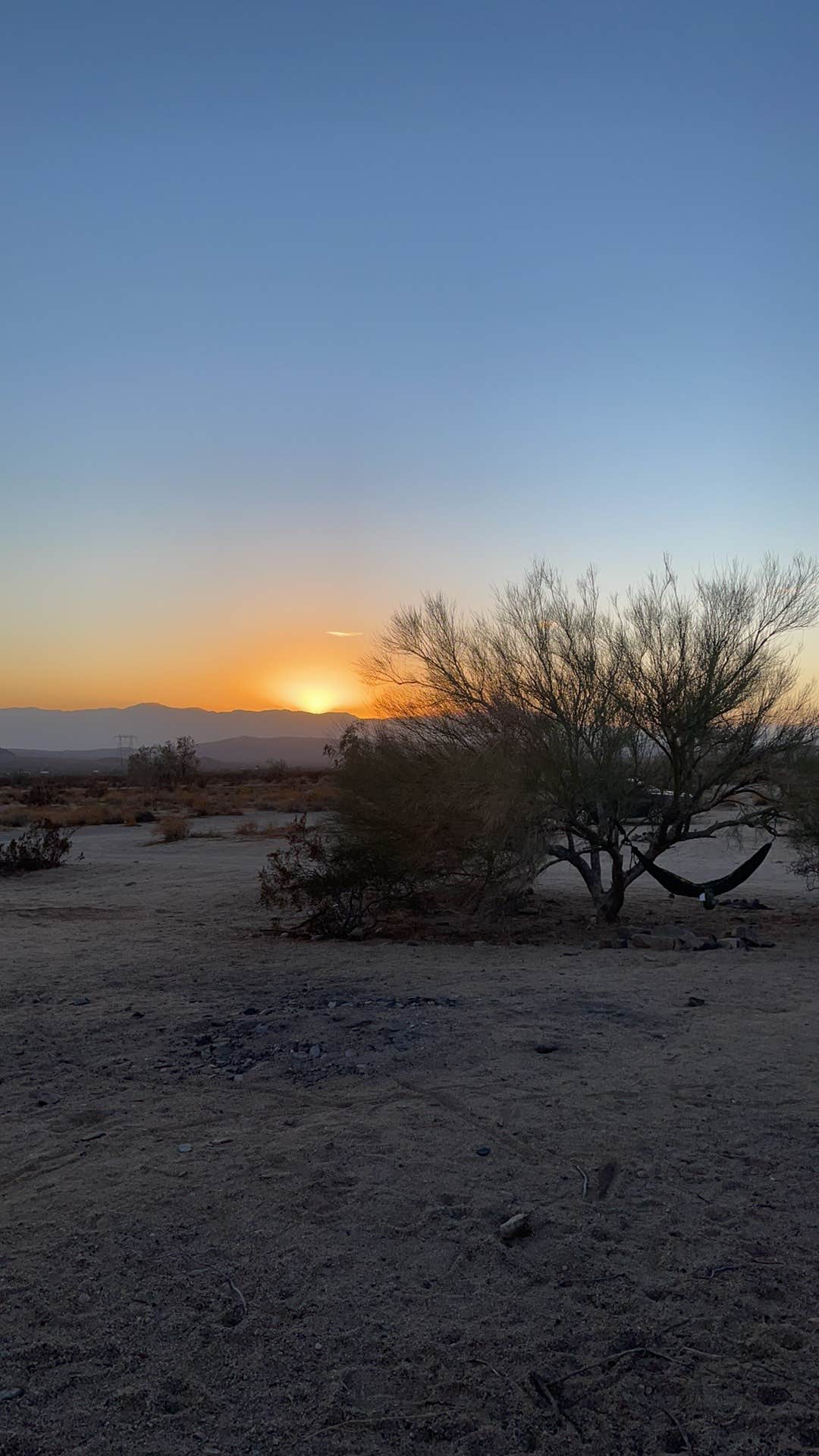 Nick A.'s photo of a dispersed camping area at Joshua Tree South - BLM Dispersed near Salton City, CA
