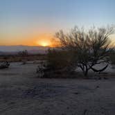 Review photo of Joshua Tree South - BLM Dispersed by Nick A., November 27, 2021