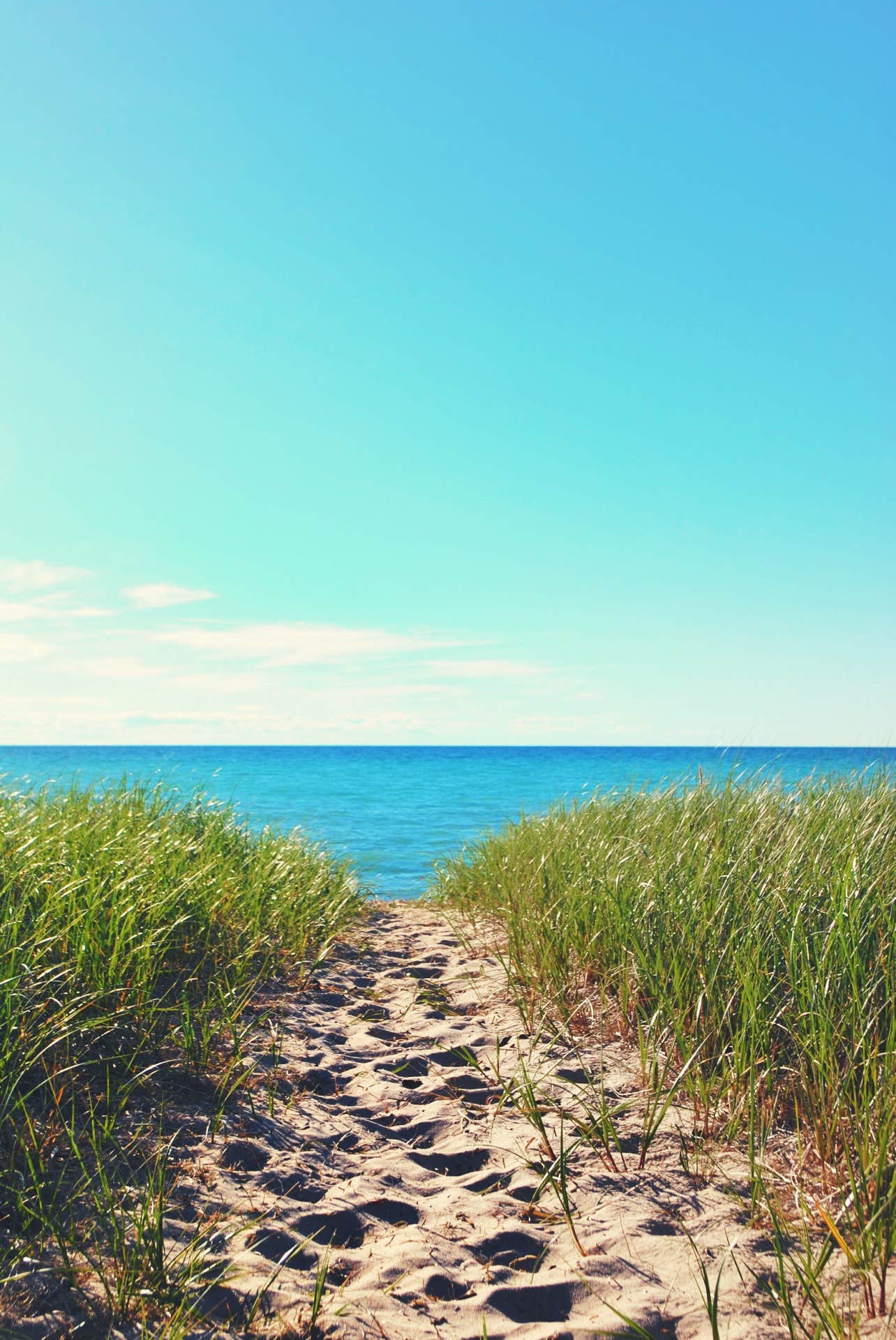 Camper-submitted photo at White Pine Canoe SF Campground near Gaylord, MI