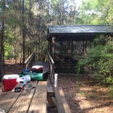 Review photo of Spirit of the Suwannee Music Park & Campground by Kayla B., July 7, 2018
