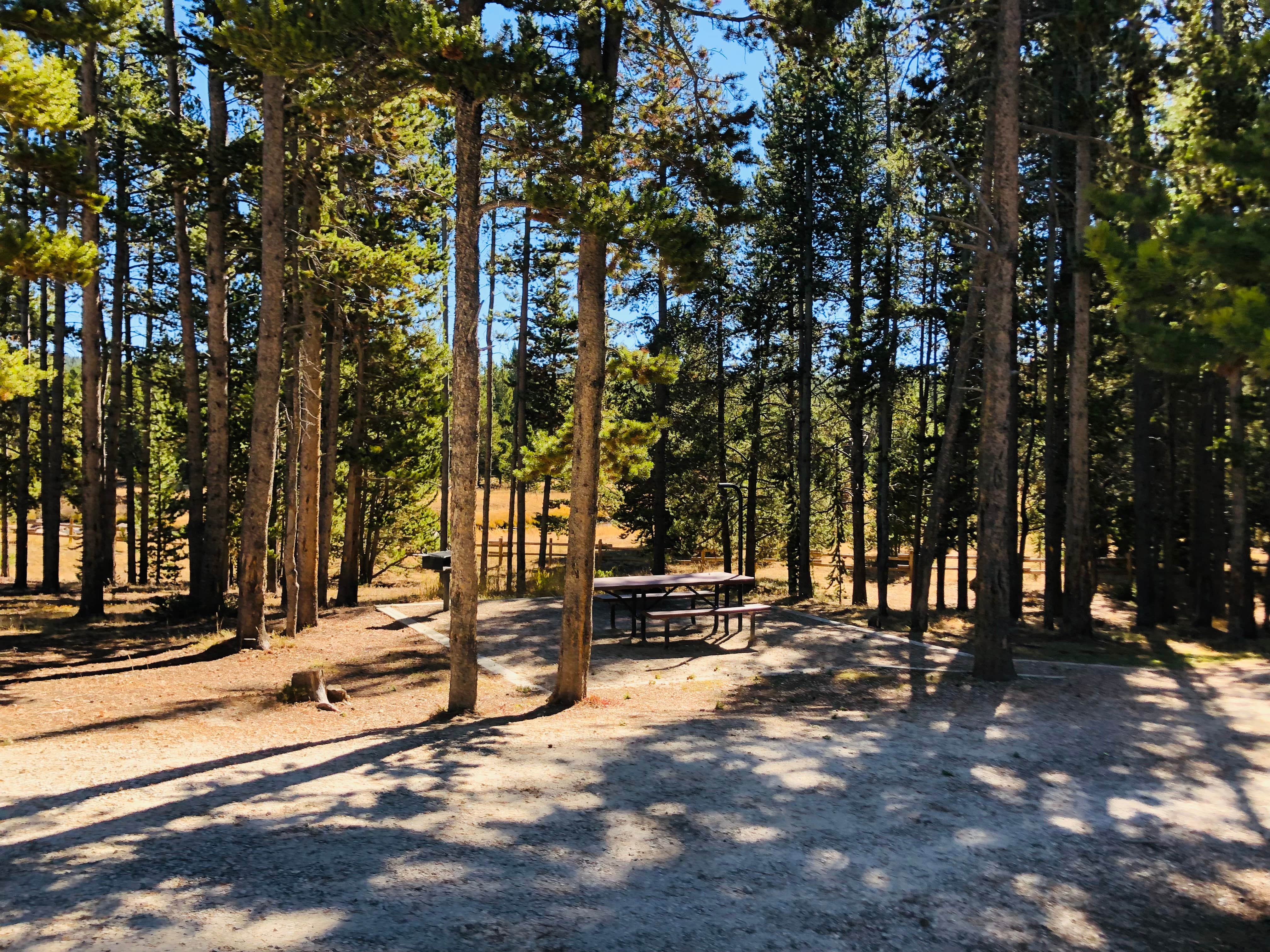 Camper submitted image from Bighorn National Forest Tie Flume Campground - 4