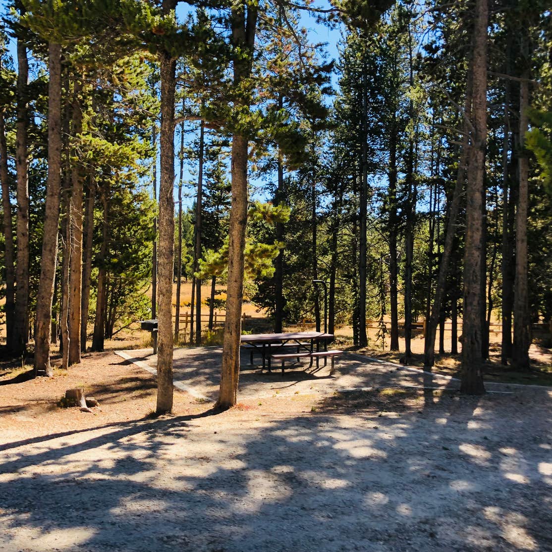 Bighorn National Forest Tie Flume Campground Camping The Dyrt