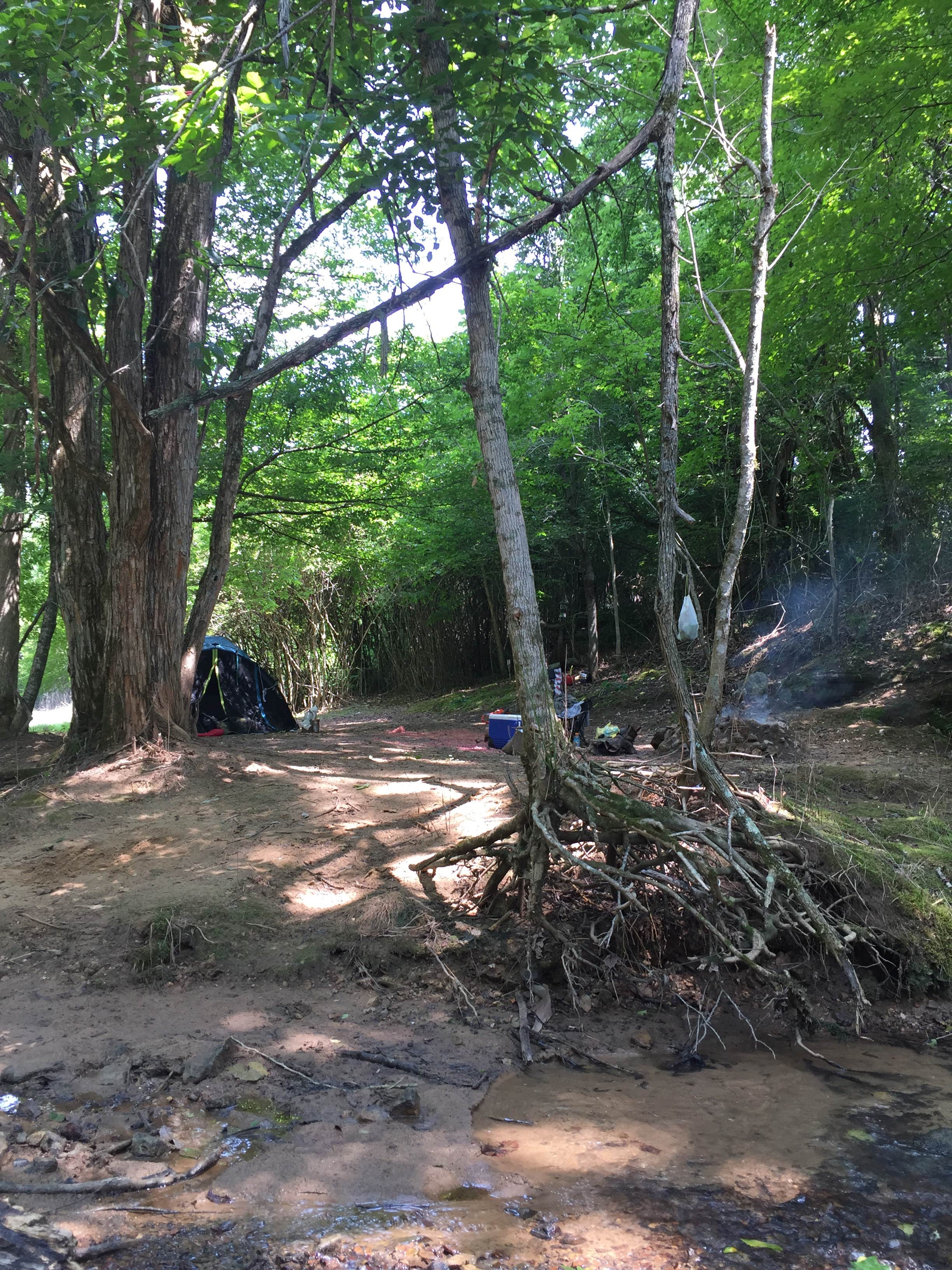 Camping near Alum Gap Campground — Savage Gulf State Park: Mad Musky Water Sports Rentals, Beersheba Springs, Tennessee