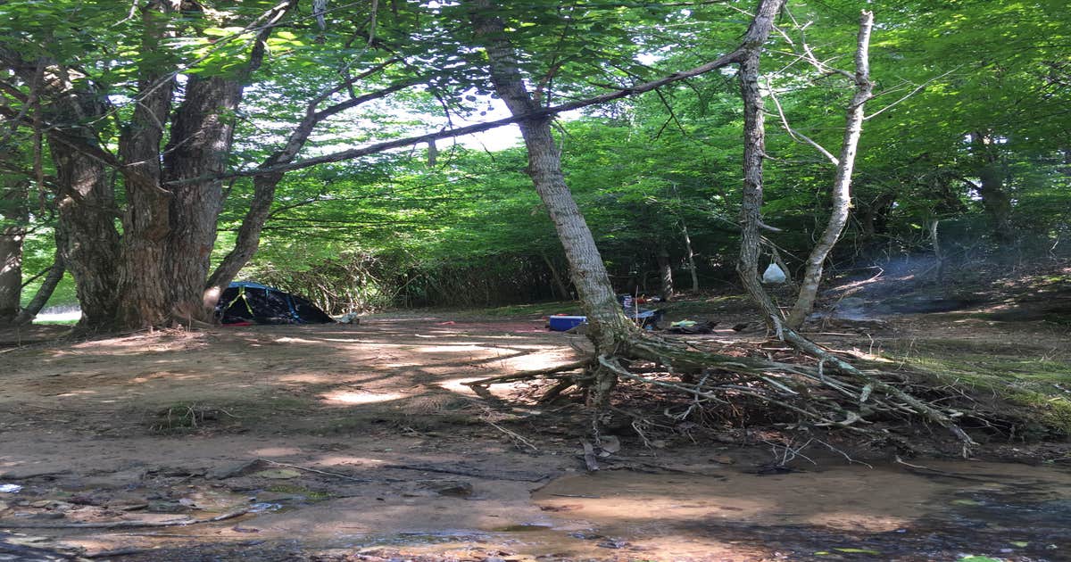 Mad Musky Water Sports Rentals Camping Beersheba Springs, TN