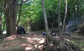 Daniel T.'s photo at Mad Musky Water Sports Rentals near Gruetli-Laager, TN