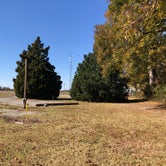 Review photo of Cypress Bend RV Park by N I., November 19, 2021