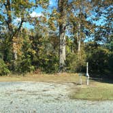 Review photo of Cypress Bend RV Park by N I., November 19, 2021
