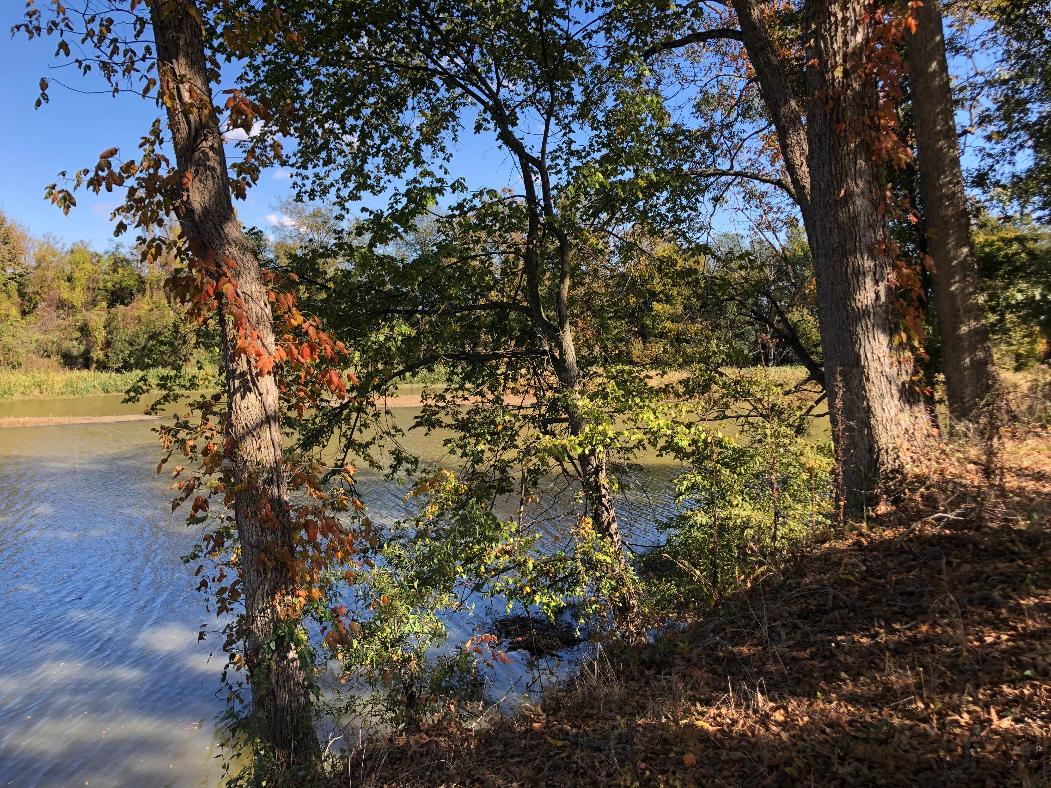 Camper submitted image from Cypress Bend RV Park - 4