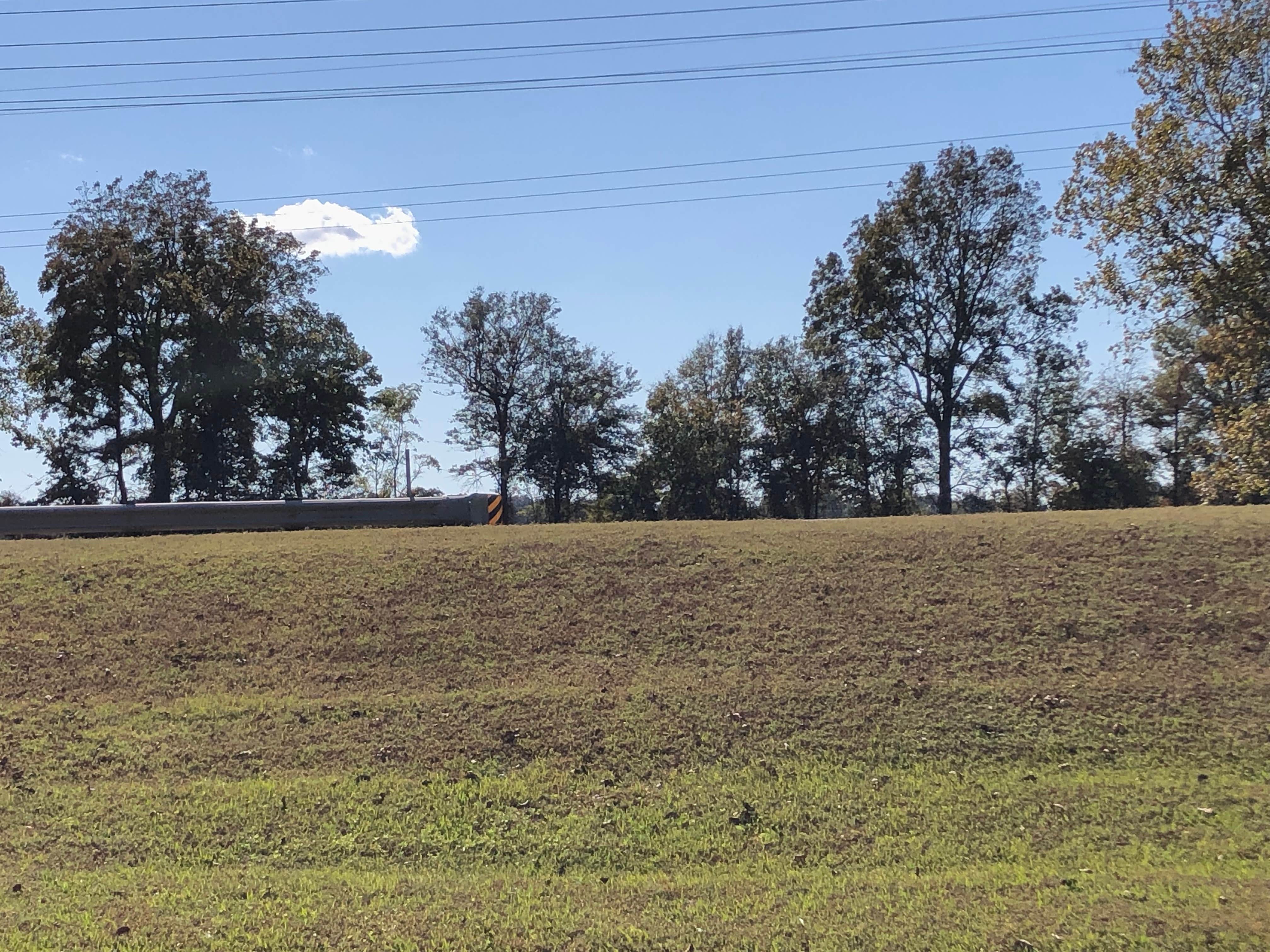Camper-submitted photo at Cypress Bend RV Park near Brooklyn, MS