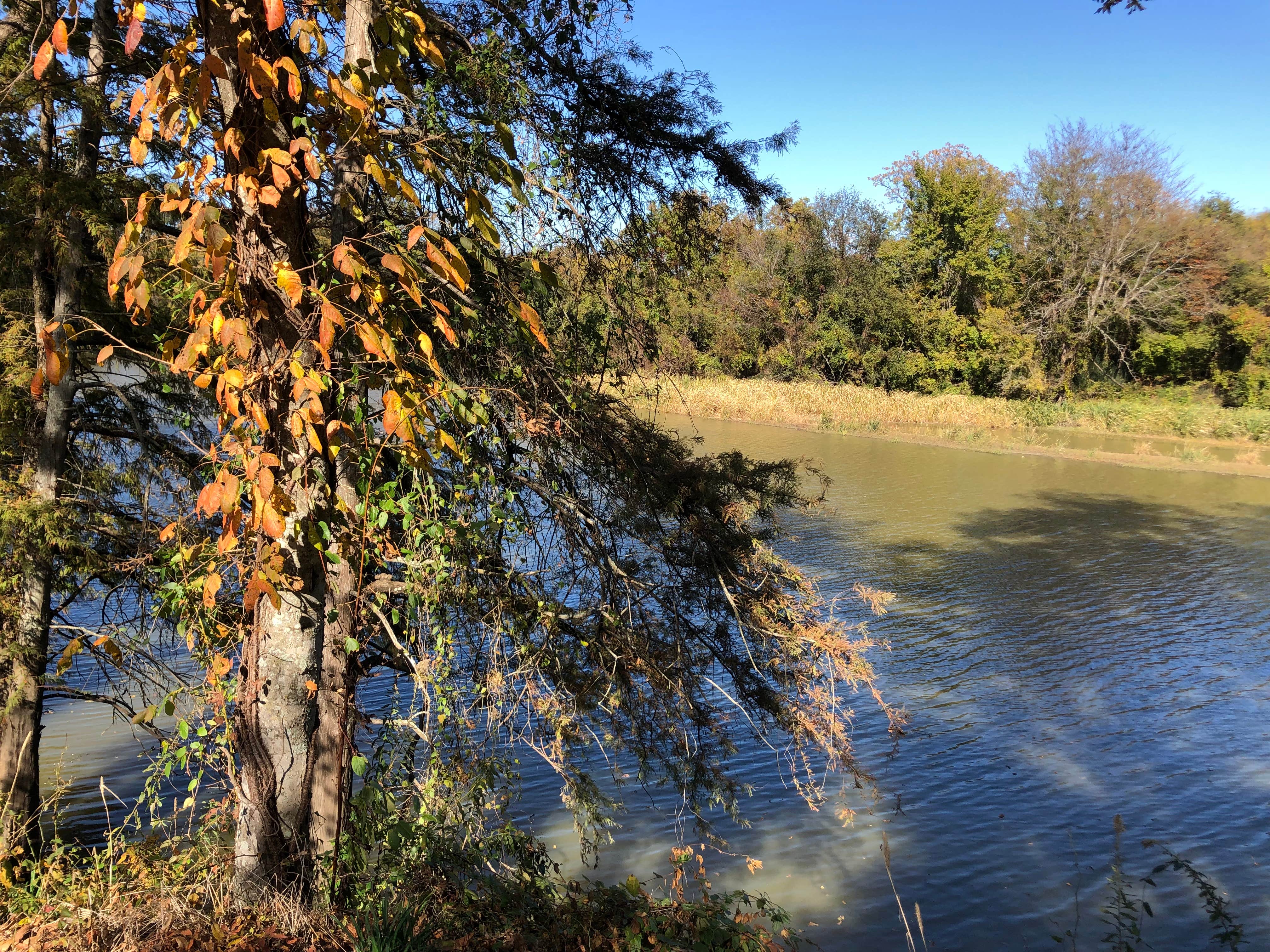 Camper-submitted photo at Cypress Bend RV Park near Brooklyn, MS