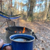 Review photo of Oak Ridge Campground — Prince William Forest Park by Emily M., November 27, 2021