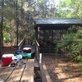 Review photo of Woods Ferry River Camp — Suwannee River State Park by Kayla B., July 7, 2018