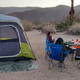 Review photo of Borrego Palm Canyon Campground — Anza-Borrego Desert State Park by Sook C., November 27, 2021