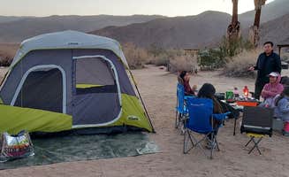 Sook C.'s photo at Borrego Palm Canyon Campground — Anza-Borrego Desert State Park near Coolidge Springs, CA