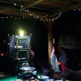 Review photo of Borrego Palm Canyon Campground — Anza-Borrego Desert State Park by Sook C., November 27, 2021