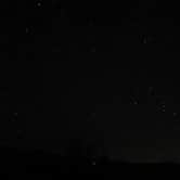 Review photo of Borrego Palm Canyon Campground — Anza-Borrego Desert State Park by Sook C., November 27, 2021