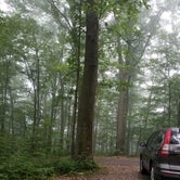 Review photo of Kentuck Campground — Ohiopyle State Park by Krystal M., July 7, 2018