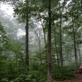 Review photo of Kentuck Campground — Ohiopyle State Park by Krystal M., July 7, 2018