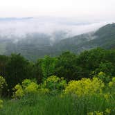 Review photo of Shenandoah National Park Dispersed Sites — Shenandoah National Park by Teresa K., July 7, 2018