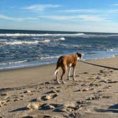 Review photo of Oregon Inlet Campground — Cape Hatteras National Seashore by Justin P., November 27, 2021