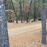Review photo of Talimena State Park Campground by Adams , November 27, 2021