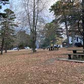 Review photo of Talimena State Park Campground by Adams , November 27, 2021