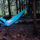 Review photo of Rainbow Falls State Park Campground by Jade P., November 27, 2021