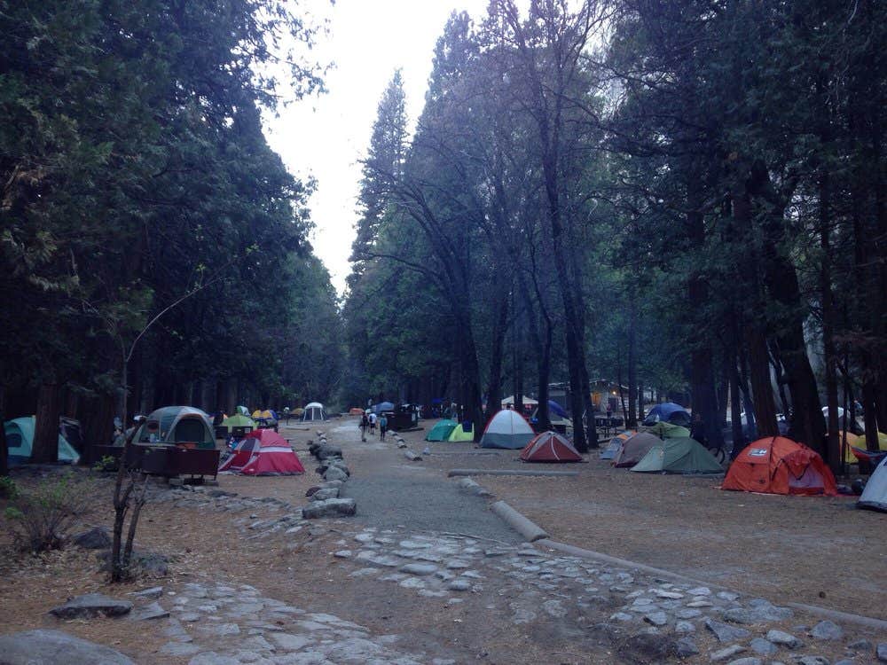 Camper submitted image from Camp 4 — Yosemite National Park - 4