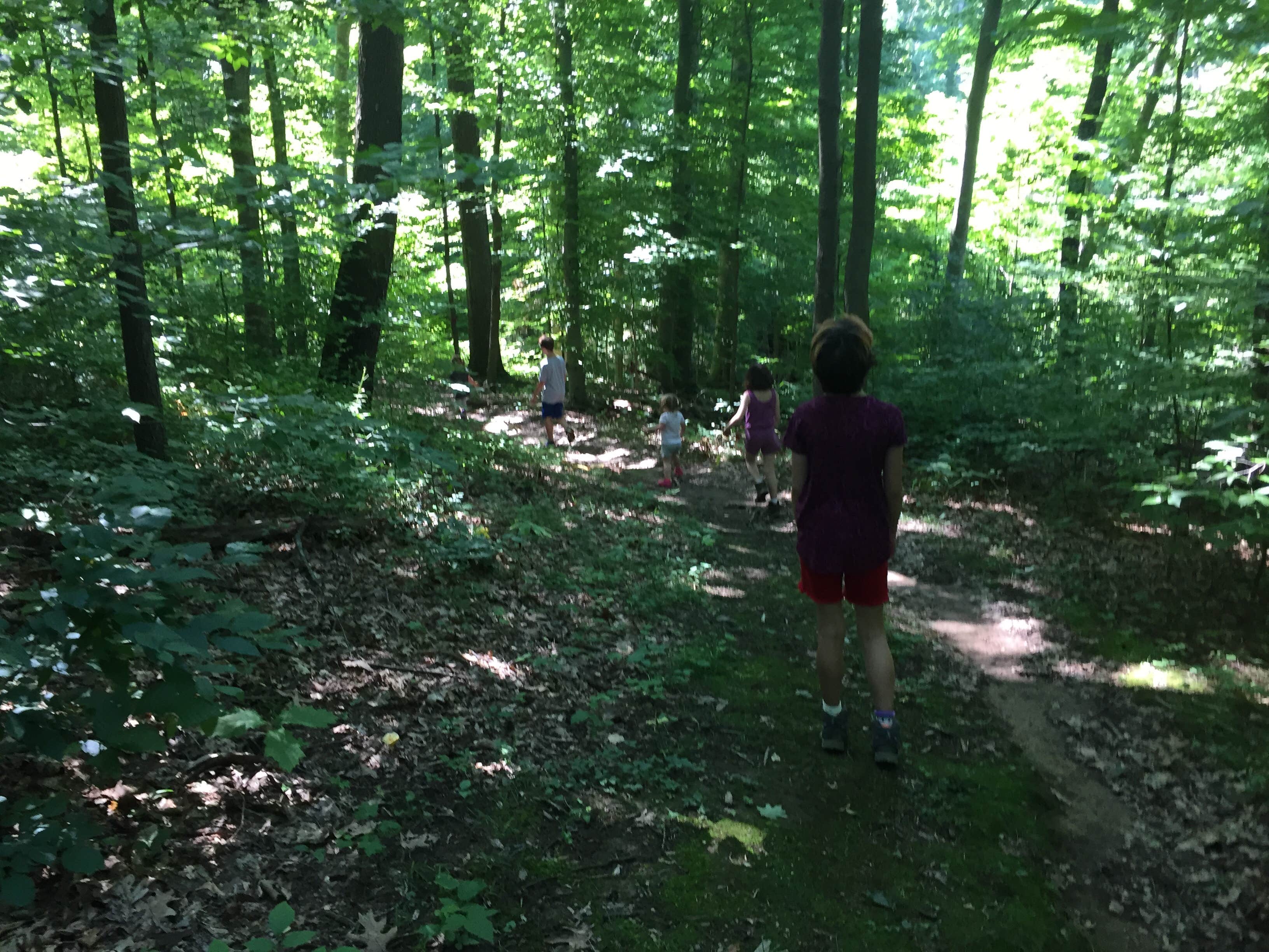 Camper-submitted photo at Salt Fork State Park Campground near Clifton, OH