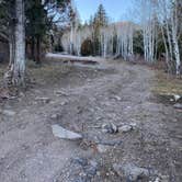 Review photo of Birch Creek Campground by Cheryl M., November 28, 2021