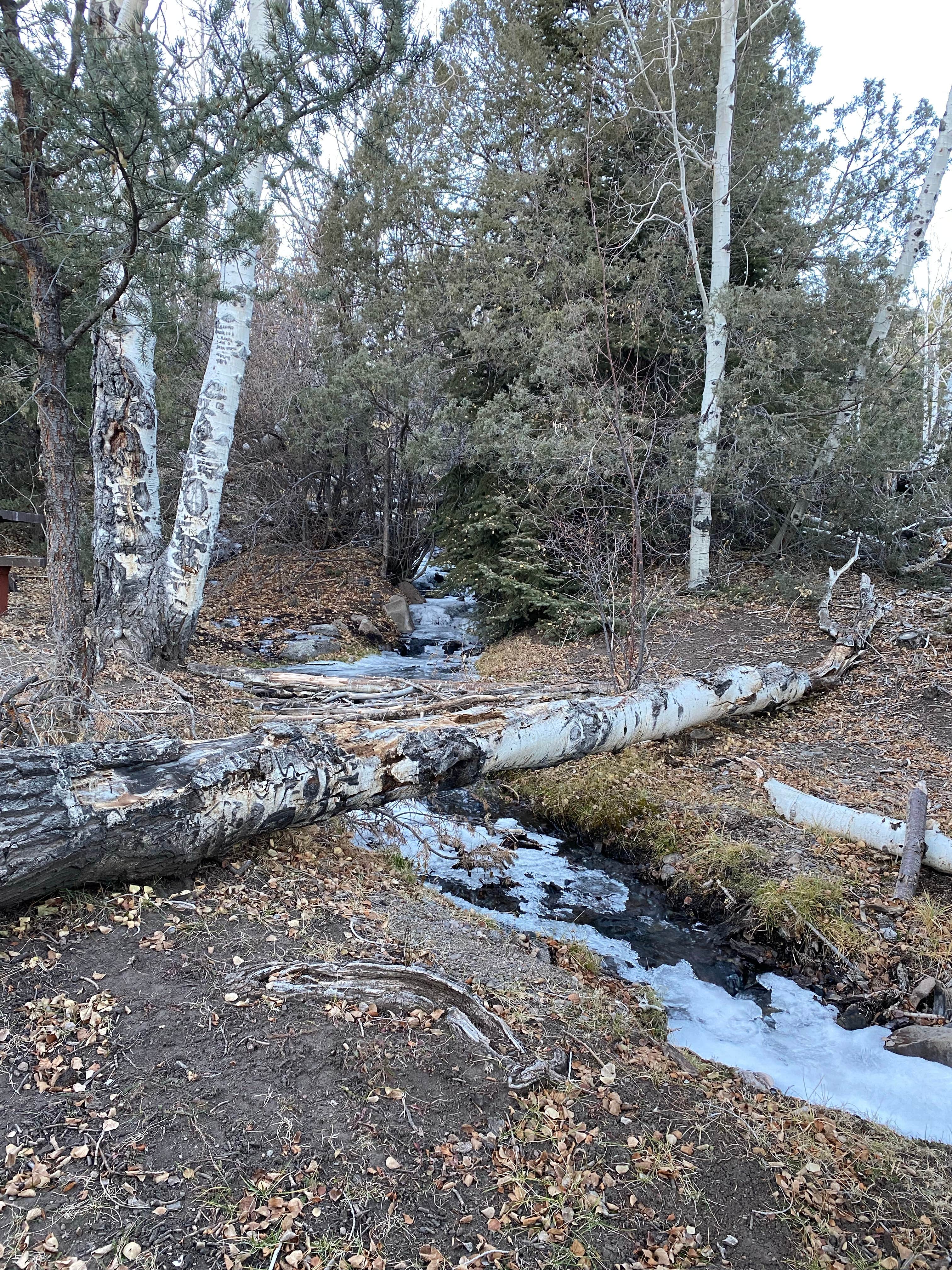 Camper-submitted photo at Birch Creek Campground near Fishlake National Forest