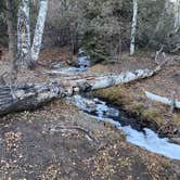 Review photo of Birch Creek Campground by Cheryl M., November 28, 2021