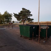 Review photo of Old Marina Campground — Webster State Park by Dexter I., November 28, 2021