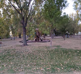 Camper-submitted photo from C2T Ranch and Campground