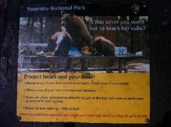 Camper submitted image from Camp 4 — Yosemite National Park - 4