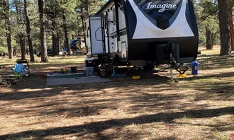 Lake Mary Road - National Forest Dispersed Camping