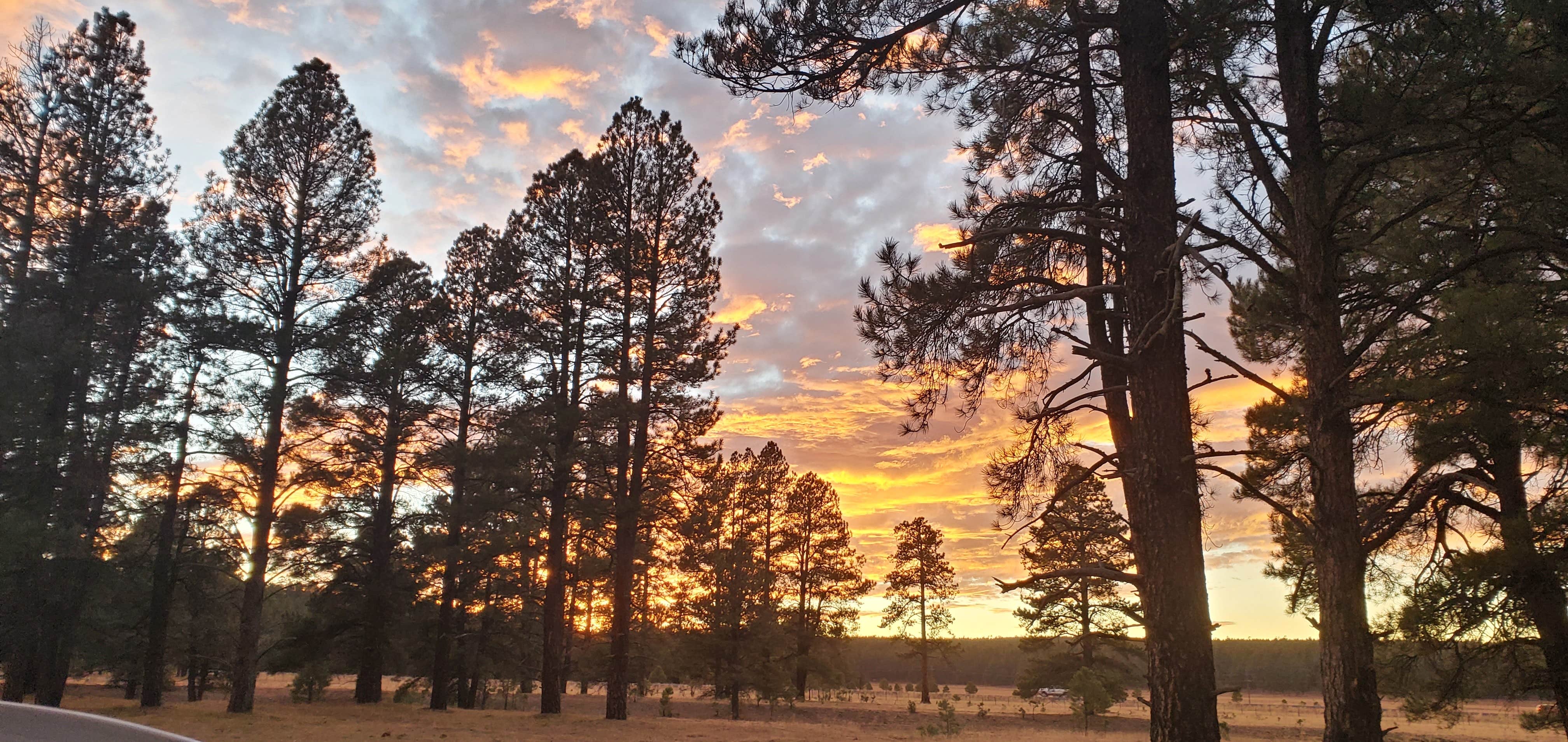 Camper submitted image from Lake Mary Road - National Forest Dispersed Camping - 2