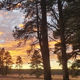 Review photo of Lake Mary Road - National Forest Dispersed Camping by Daniel H., November 28, 2021