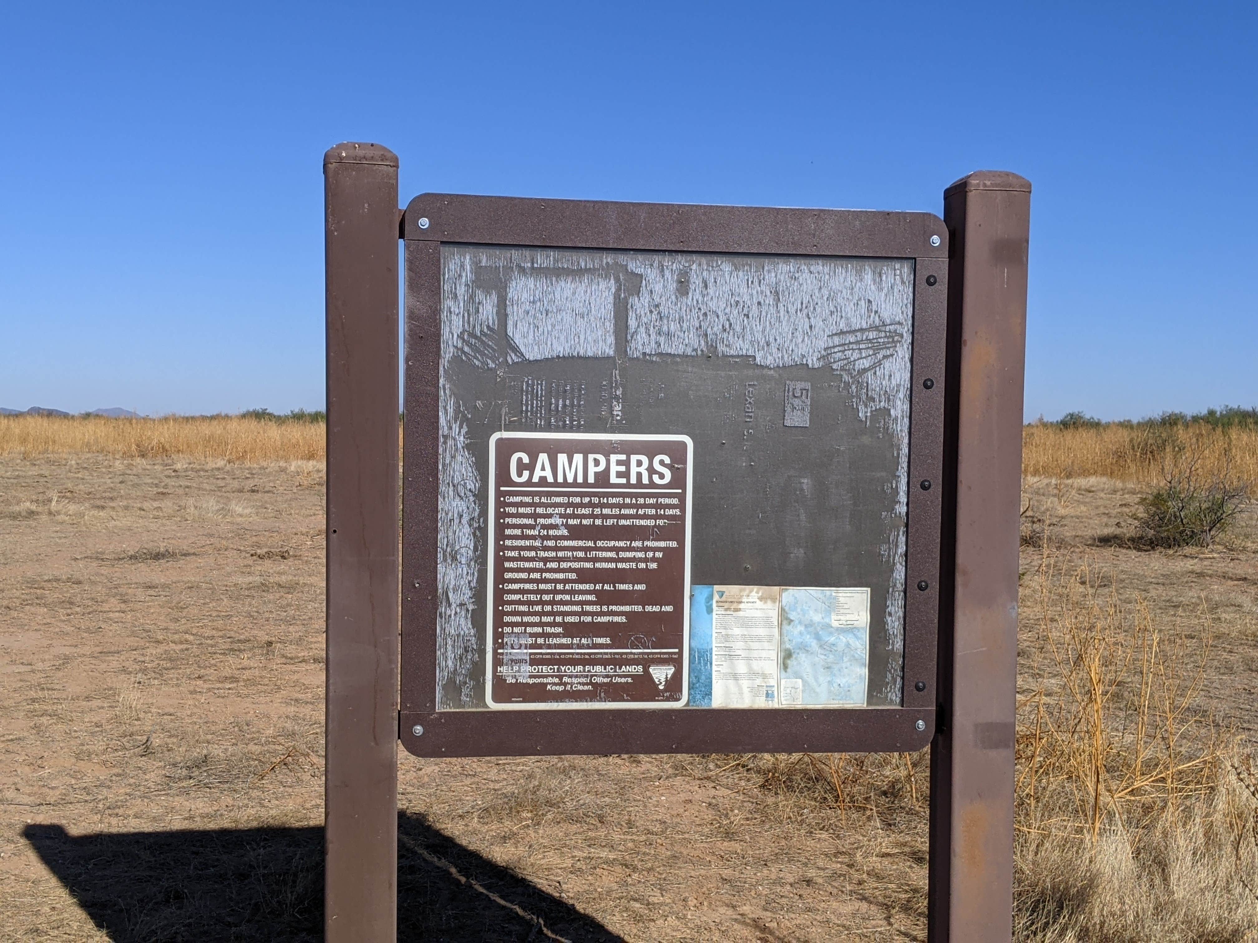 Camper submitted image from Ironwood Forest BLM Aqua Blanca dispersed camp - 4