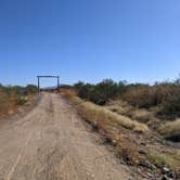 Review photo of Ironwood Forest BLM Aqua Blanca dispersed camp by Greg L., November 28, 2021