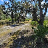 Review photo of Lake Manatee State Park Campground by Kathie E., November 28, 2021