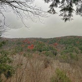 Review photo of Mohican State Park Campground by Andrea F., November 28, 2021