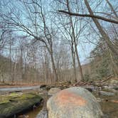 Review photo of Mohican State Park Campground by Andrea F., November 28, 2021