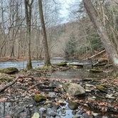 Review photo of Mohican State Park Campground by Andrea F., November 28, 2021
