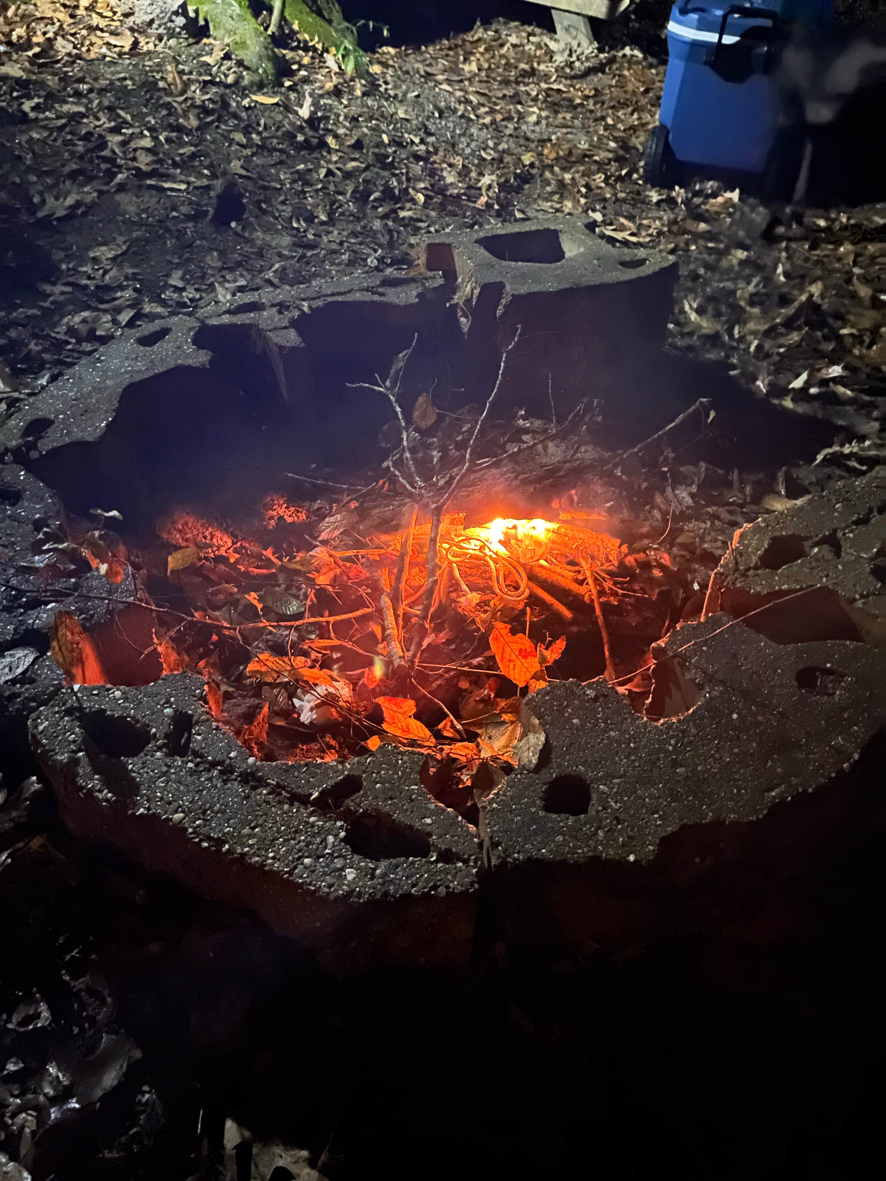 Camper-submitted photo at Tunica Hills Campground near St. Francisville, LA