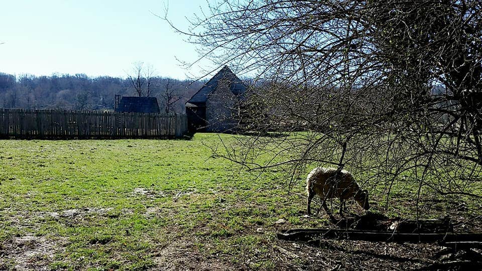 Camper-submitted photo at Patapsco Valley State Park-Hilton Area near Chevy Chase, MD